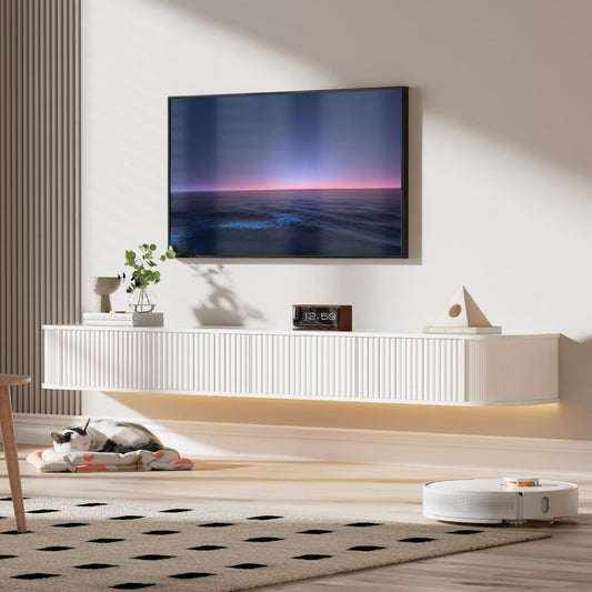 Mobile TV 160CM